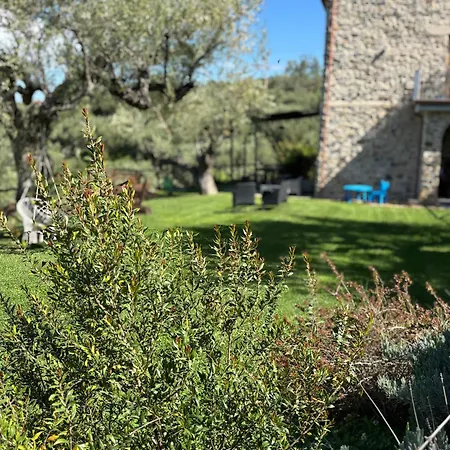 Casolare Cento Ulivi Luxury & Charme Διαμέρισμα Ascea