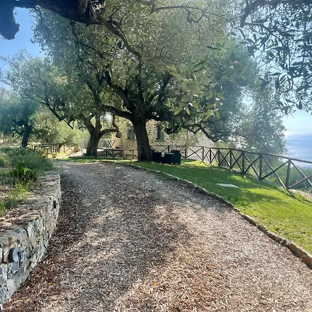 Casolare Cento Ulivi Luxury & Charme Apartment Ascea
